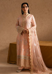 Formals - Freesia Premium - Imane - Embroidered Chiffon 25 - FSU5609 - MIRAY