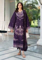 Winter - Parishay - Panache - Palachi Shawl 25 - PNE#06