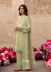 Lawn Collection - Cross Stitch - Premium - CSP24#24 - MISTED GREEN