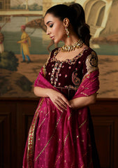 Winter Collection - Mina Hasan - Velvet Luxe - Daaniya