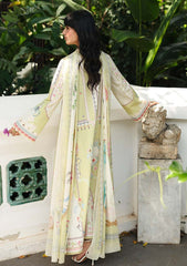 Lawn - Qalamkar - Q Prints - Unstitched 26 - QQL#06-B - Vaila