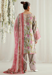 Winter - Bin Ilyas - Eres Bonita Viscose 25 - D#1103-B