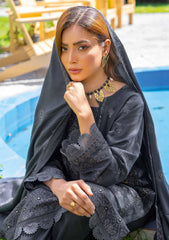 Winter Collection - Bin Rashid - Jahanara - BRJ24#04