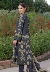 Winter - Al Zohaib - Colors Linen - Edit 25 - CL#11