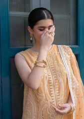 Pret - Ali Xeeshan - Chanda - Inara