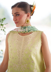 Lawn - Mahnur - Nilofer Luxury 26 - NL#06