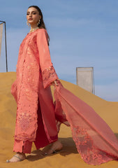 Lawn - Rang Rasiya - Premium Summer 26 - SPD#01 - Elnaz