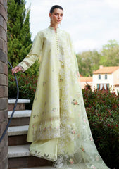 Lawn - Cross Stitch - Eid Edit-II - LWN#0206 - CITRUS LACE