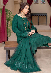 Winter - Riaz Arts - Zauq 25 - D#06