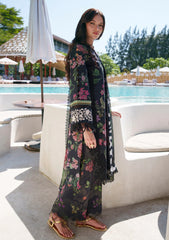 Lawn - AJR Couture - Printed Chikankari 26 - Vera