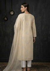 Formals - Riwaj - Fancy 26 - Ari & Mukesh Work - 2 Pcs - D#01 - Fawn