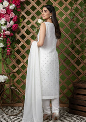 Formals - Bahawalpur Pehnawa - Georgette Chiffon - 2 piece - JC#11