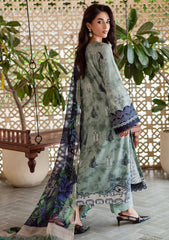 Winter - Nureh - Signature Prints 25 - SP#164