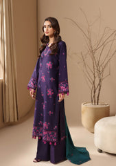Winter Collection - Rajbari - Nissa - RBN24#06