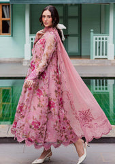 Formals - Nureh - Ballerina 25 - NU2#182