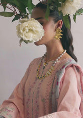 Lawn - Qalamkar - Qlinekari 25 - DC#11 - Hedi