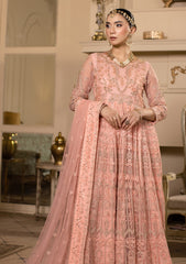 Formals - Sidra Aleem - Raj Kumari 25 - D#03