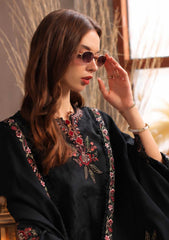 Winter - Noor By Saadia Asad - Pashmina Shawl 26 - D#11