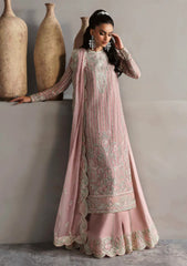 Formals - Akbar Aslam - Meeras - Luxury Chiffon 25 - D#1613 - Gulnour
