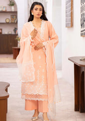 Lawn - Humdum - Nayab 26 - D#10