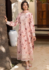 Winter - Humdum - Zaiba - Karandi 25 - D#05