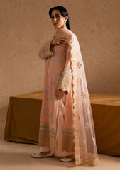 Formals - Freesia Premium - Imane - Embroidered Chiffon 25 - FSU5609 - MIRAY