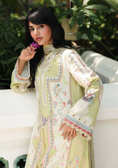 Lawn - Qalamkar - Q Prints - Unstitched 26 - QQL#06-B - Vaila