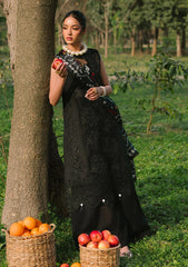 Lawn - Mahnur - Dahlia - Luxury 25 - D#01-A - Zoe