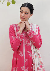 Winter - Xenia - Winter Slub - Unstitched 25 - XF#1140 - DAIVI