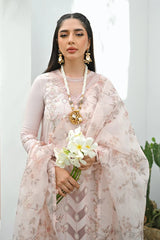 Pret Collection - Qalamkar - Casual Pret II - ZP - 03