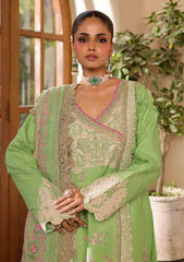 Lawn - Shazia Mansoor - Luxury 25 - D#06 - Gulzar