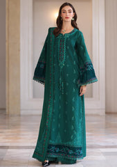 Winter - Noor by Saadia Asad - Pashmina Shawl 25 - NSP#02 - Emerald Reverie