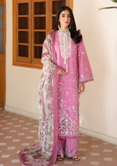 Lawn - Seraph - Lumineer 25 - Blushia