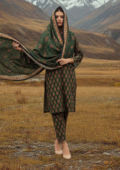 Winter - Riwaj - Printed Marina - 3 Pcs - Wool Shawl 25 - D#92