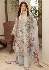 Winter - Humdum - Zaiba - Karandi 25 - D#04