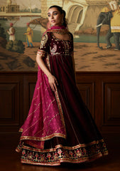 Winter Collection - Mina Hasan - Velvet Luxe - Daaniya