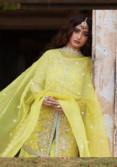 Formal Collection - Qalamkar - Shadmani - Luxury Formals - SH#05 - Dania