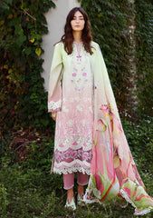 Lawn - Mushq - Solace 26 - Ombre Chikankari - MUNSS#204 - Petal Pull