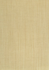 Pasha Gold Line Merino Color# 027 (Golden)