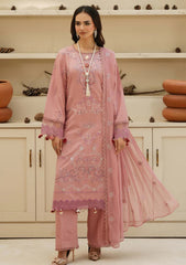 Winter - Humdum - Mushak - Embroidered Karandi - H25#04