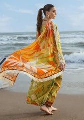 Winter - Naqsh - Ocean Opulence 25 - D#172