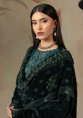 Winter - Humdum - Zouq - Wool 26 - D#10