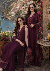 Lawn - Noor by Saadia Asad - Luxury Eid - Schiffli Laserkari 26 - D#10