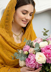 Lawn - Meemsey - Noor-e-Nazar 26 - Volume 01 - D#03