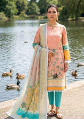 Lawn - Rubaaiyat - R Prints 26 - Volume 2 - RP2#14 - Peach