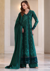 Winter - Noor by Saadia Asad - Pashmina Shawl 25 - NSP#02 - Emerald Reverie