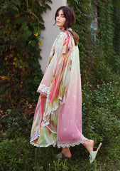 Lawn - Mushq - Solace 26 - Ombre Chikankari - MUNSS#204 - Petal Pull
