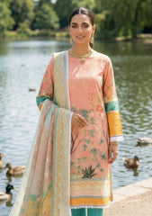 Lawn - Rubaaiyat - R Prints 26 - Volume 2 - RP2#14 - Peach