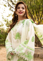 Lawn - M.basics - Eid II - Unstitched 25 - 06B