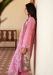 Lawn - Seraph - Lumineer 25 - Blushia